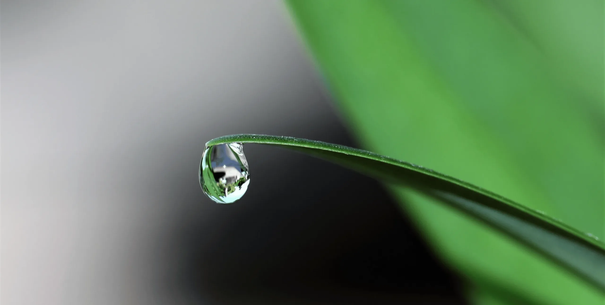 Servizio mezzi pesanti Italia